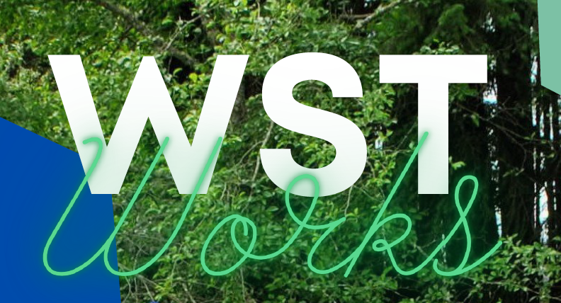 WST Works Graphic