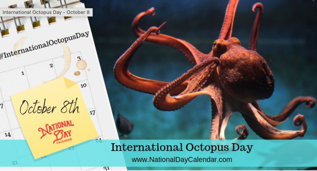 International Octopus Day