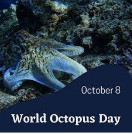 International Octopus Day